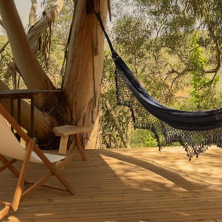 Soul Farm Algarve - Glamping & Farm Houses Aljezur Εξωτερικό φωτογραφία