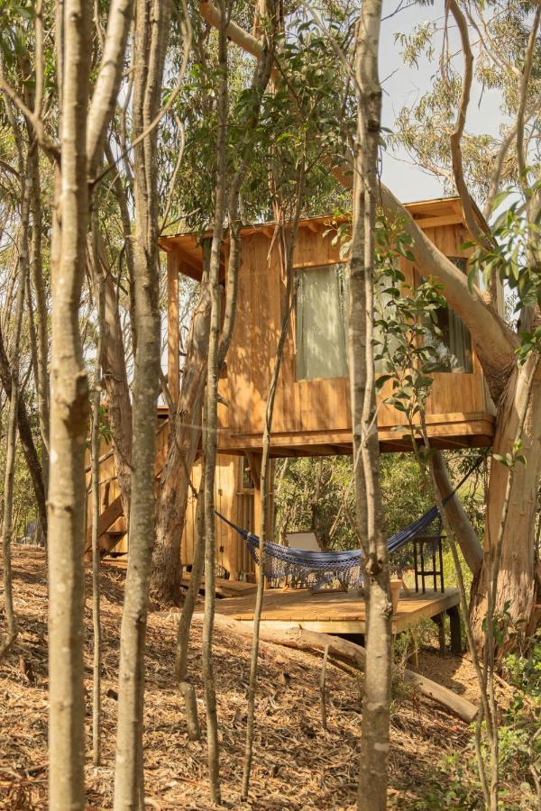 Soul Farm Algarve - Glamping & Farm Houses Aljezur Εξωτερικό φωτογραφία