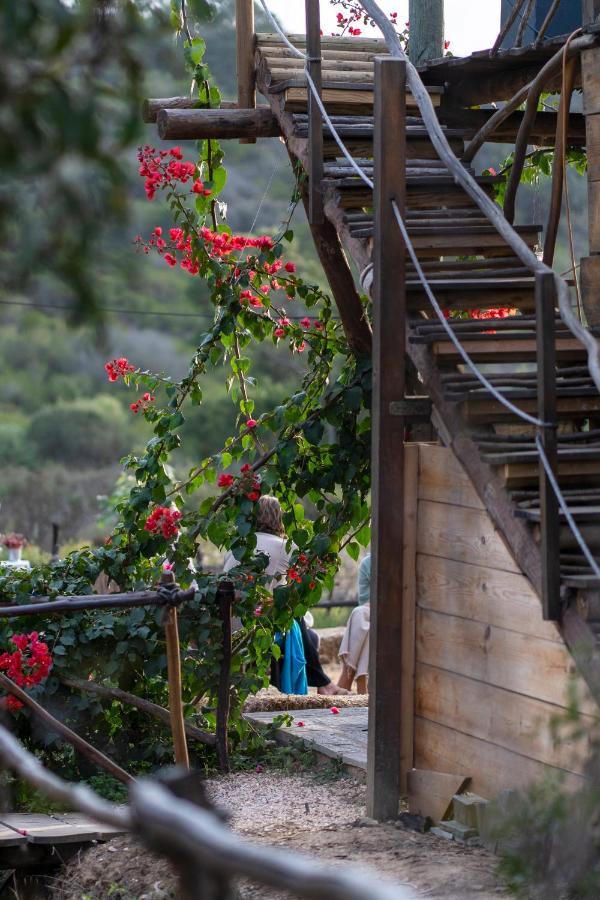 Soul Farm Algarve - Glamping & Farm Houses Aljezur Εξωτερικό φωτογραφία