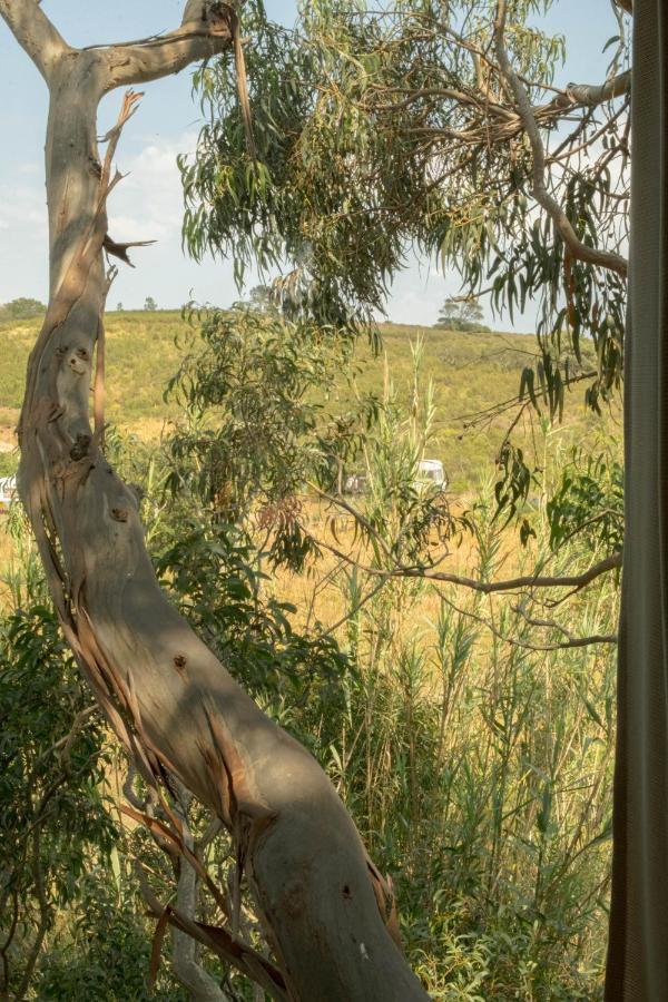 Soul Farm Algarve - Glamping & Farm Houses Aljezur Εξωτερικό φωτογραφία