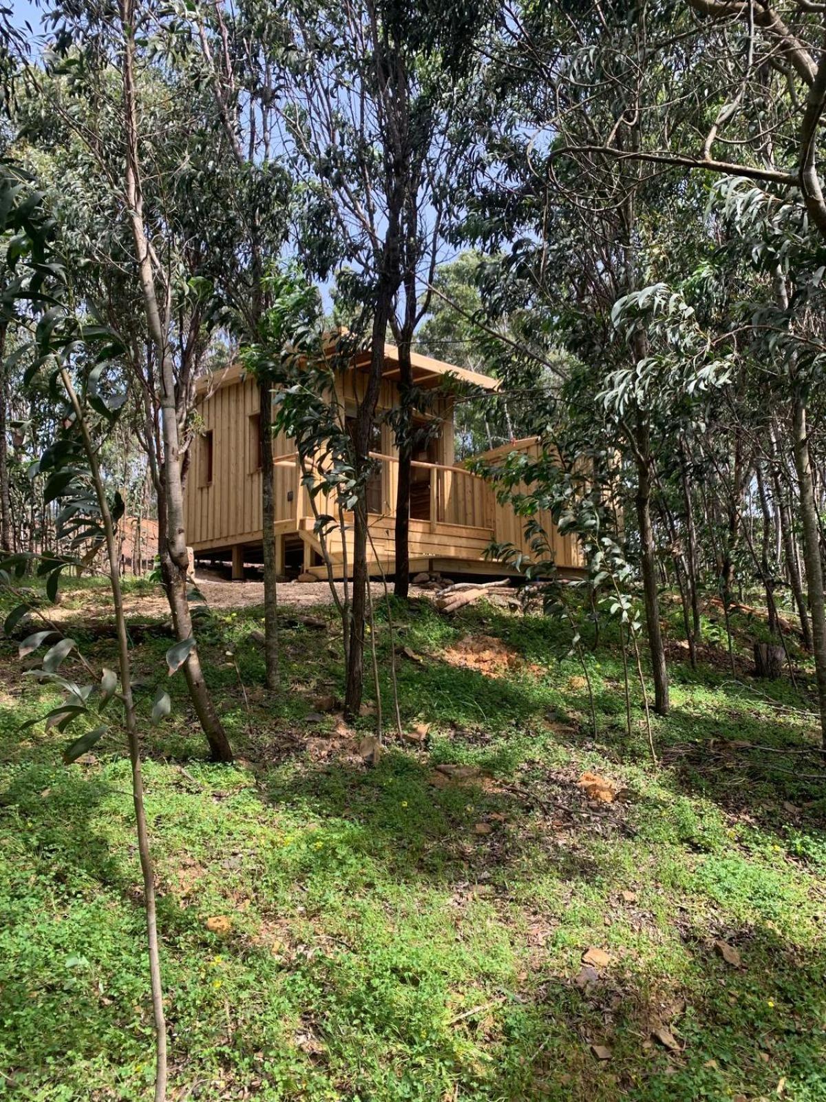 Soul Farm Algarve - Glamping & Farm Houses Aljezur Εξωτερικό φωτογραφία
